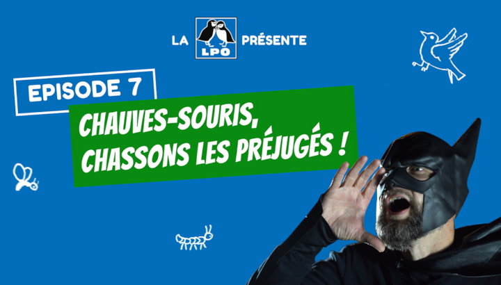 Web-série Colocataires Sauvages : Épisode 7